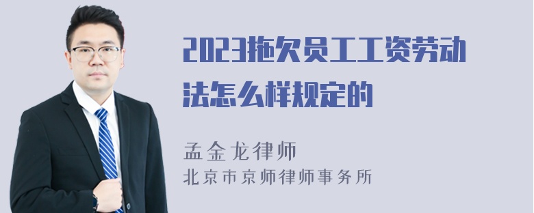 2023拖欠员工工资劳动法怎么样规定的