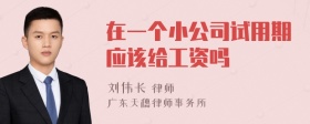 在一个小公司试用期应该给工资吗