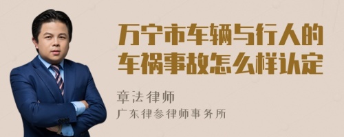 万宁市车辆与行人的车祸事故怎么样认定