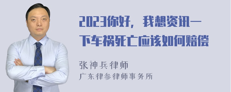 2023你好，我想资讯一下车祸死亡应该如何赔偿