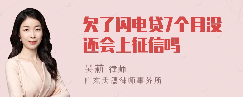 欠了闪电贷7个月没还会上征信吗