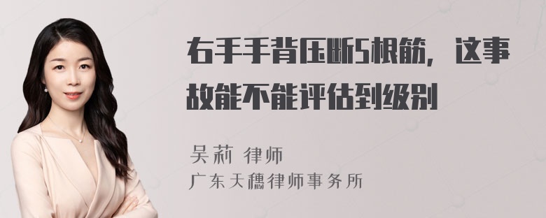 右手手背压断5根筋，这事故能不能评估到级别