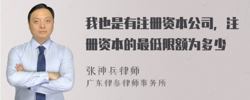 我也是有注册资本公司，注册资本的最低限额为多少