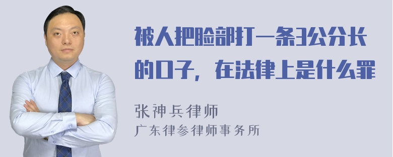 被人把脸部打一条3公分长的口子，在法律上是什么罪