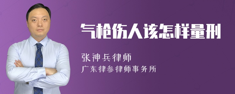 气枪伤人该怎样量刑