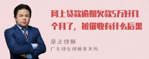 网上贷款逾期欠款5万好几个月了，被催收有什么后果