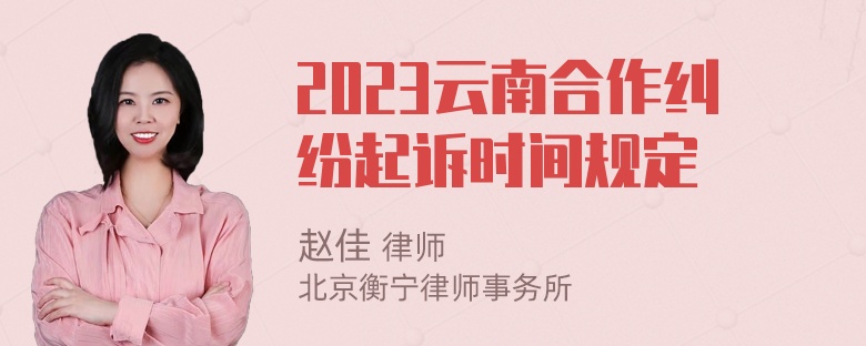 2023云南合作纠纷起诉时间规定