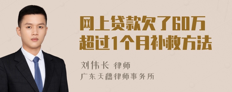 网上贷款欠了60万超过1个月补救方法