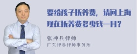 要给孩子抚养费，请问上海现在抚养费多少钱一月？