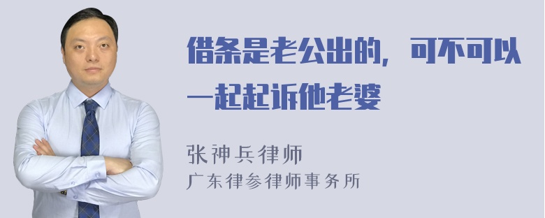 借条是老公出的，可不可以一起起诉他老婆