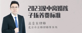 2023汉中离婚孩子抚养费标准