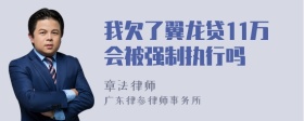 我欠了翼龙贷11万会被强制执行吗