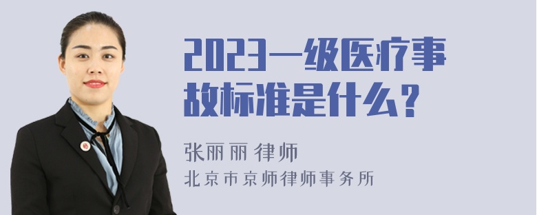 2023一级医疗事故标准是什么？