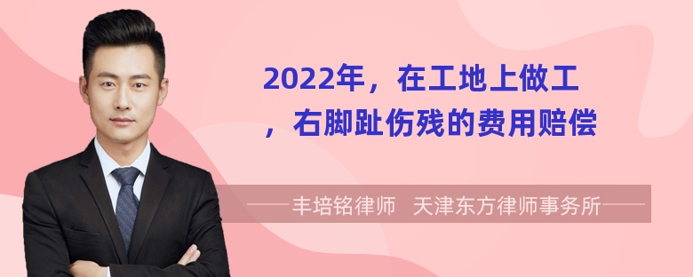 2022年，在工地上做工，右脚趾伤残的费用赔偿