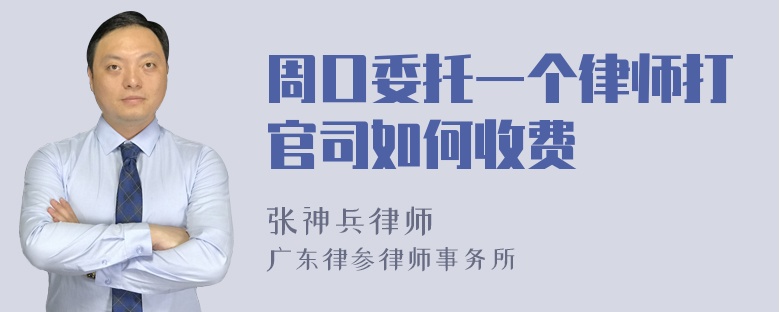 周口委托一个律师打官司如何收费