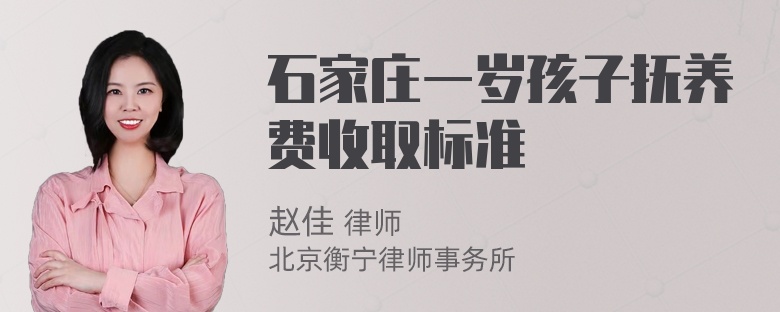 石家庄一岁孩子抚养费收取标准