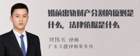 婚前出轨财产分割的原则是什么，法律依据是什么