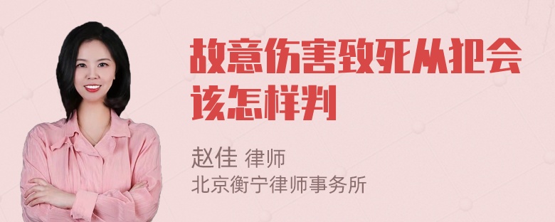 故意伤害致死从犯会该怎样判