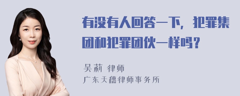 有没有人回答一下，犯罪集团和犯罪团伙一样吗？