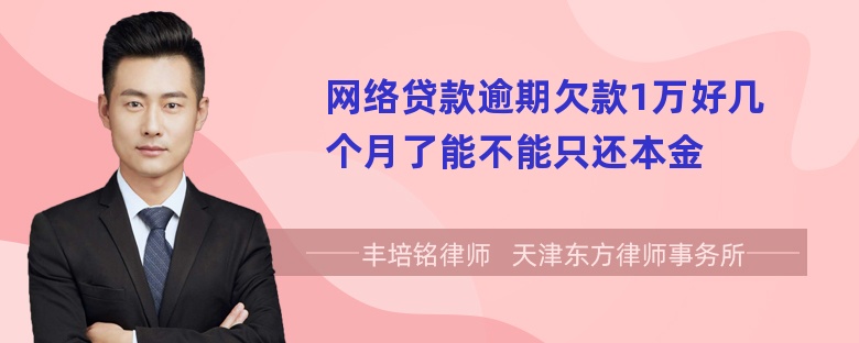 网络贷款逾期欠款1万好几个月了能不能只还本金