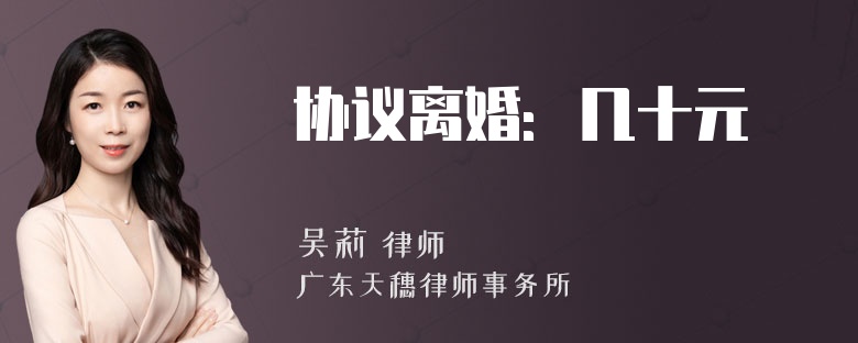 协议离婚：几十元