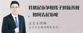 我想起诉争取孩子的抚养权，如何去起诉呢