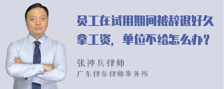 员工在试用期间被辞退好久拿工资，单位不给怎么办？