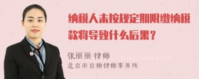 纳税人未按规定期限缴纳税款将导致什么后果？