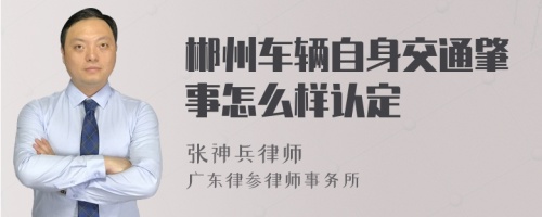 郴州车辆自身交通肇事怎么样认定