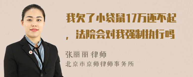 我欠了小袋鼠17万还不起，法院会对我强制执行吗