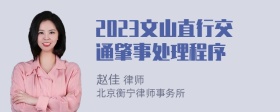 2023文山直行交通肇事处理程序