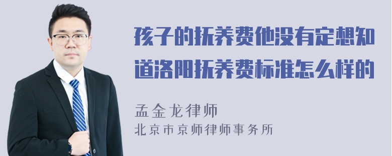 孩子的抚养费他没有定想知道洛阳抚养费标准怎么样的