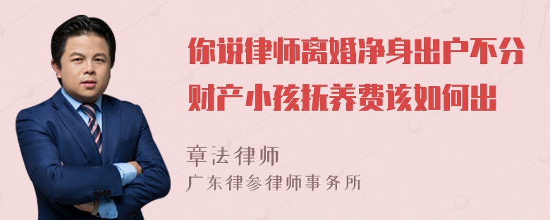 你说律师离婚净身出户不分财产小孩抚养费该如何出