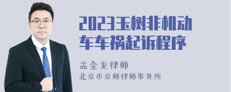 2023玉树非机动车车祸起诉程序