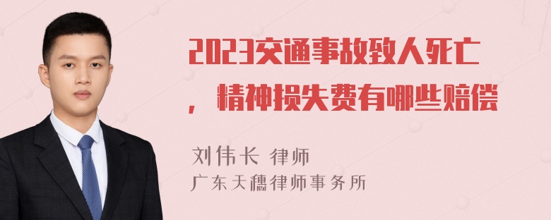 2023交通事故致人死亡，精神损失费有哪些赔偿