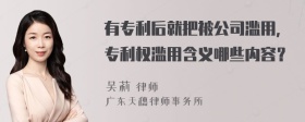 有专利后就把被公司滥用，专利权滥用含义哪些内容？