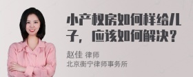 小产权房如何样给儿子，应该如何解决？