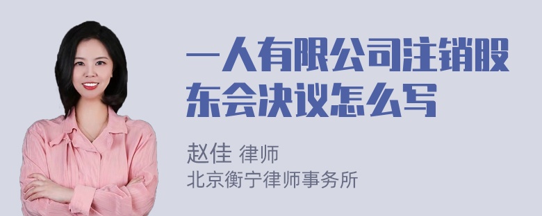 一人有限公司注销股东会决议怎么写