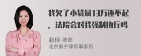 我欠了小袋鼠13万还不起，法院会对我强制执行吗