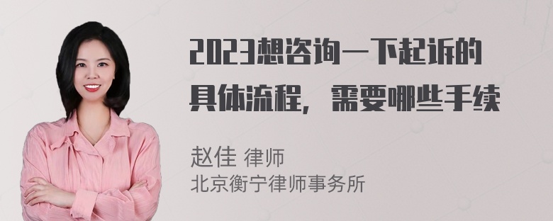 2023想咨询一下起诉的具体流程，需要哪些手续