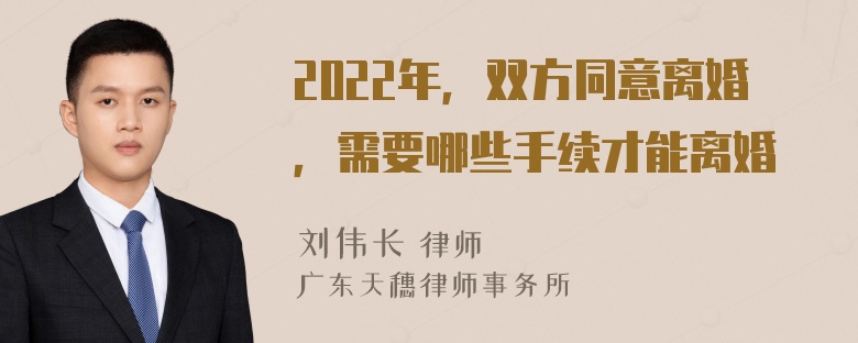 2022年，双方同意离婚，需要哪些手续才能离婚