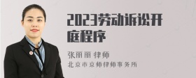 2023劳动诉讼开庭程序