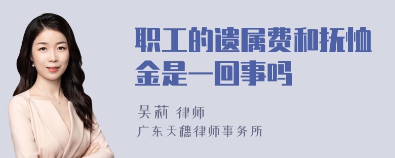 职工的遗属费和抚恤金是一回事吗