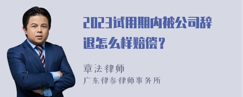 2023试用期内被公司辞退怎么样赔偿？