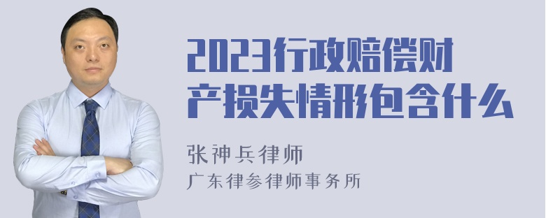 2023行政赔偿财产损失情形包含什么