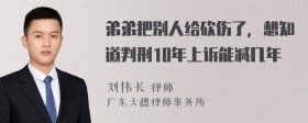 弟弟把别人给砍伤了，想知道判刑10年上诉能减几年