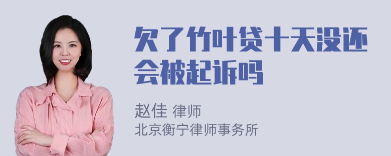 欠了竹叶贷十天没还会被起诉吗