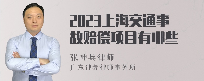 2023上海交通事故赔偿项目有哪些