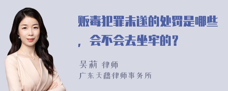 贩毒犯罪未遂的处罚是哪些，会不会去坐牢的？