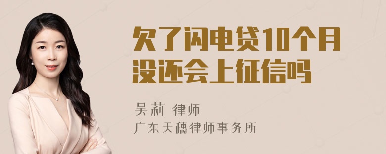 欠了闪电贷10个月没还会上征信吗